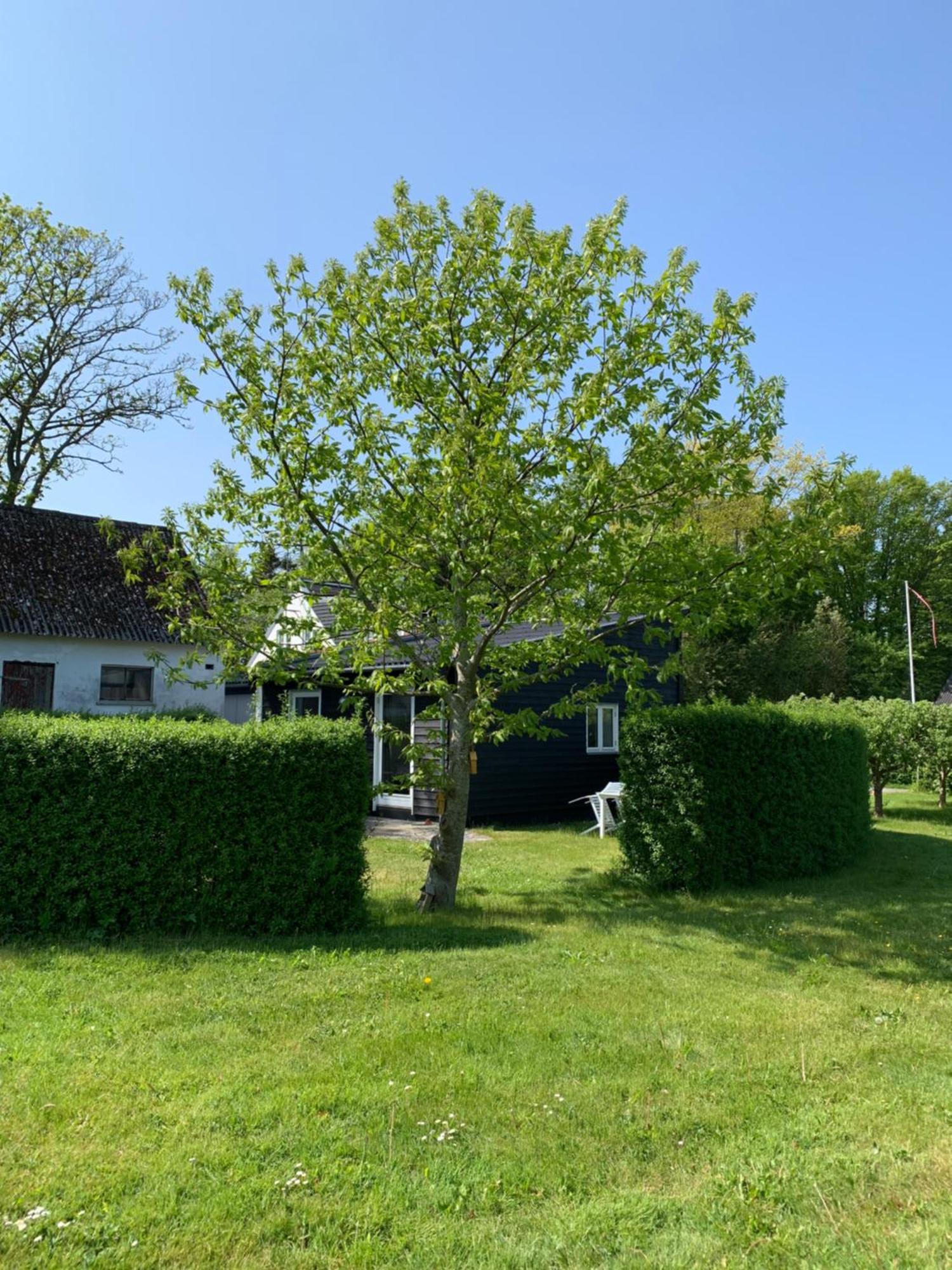 Tusindfrugt B&B Store Heddinge 外观 照片